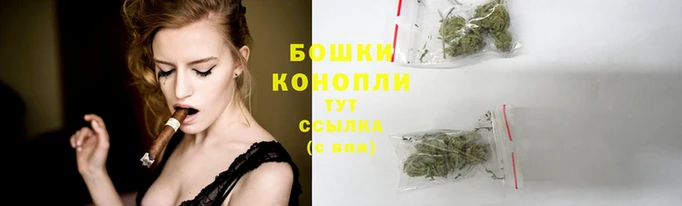 шишки Аркадак