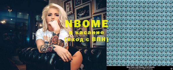 шишки Аркадак