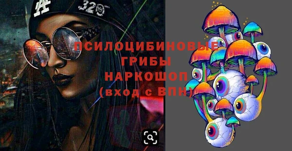 ПСИЛОЦИБИНОВЫЕ ГРИБЫ Алексеевка