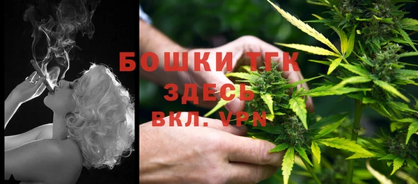 шишки Аркадак